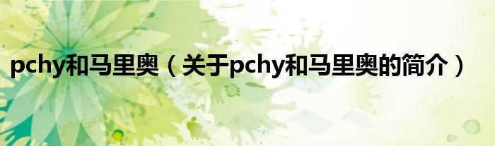 pchy和馬里奧（關(guān)于pchy和馬里奧的簡介）