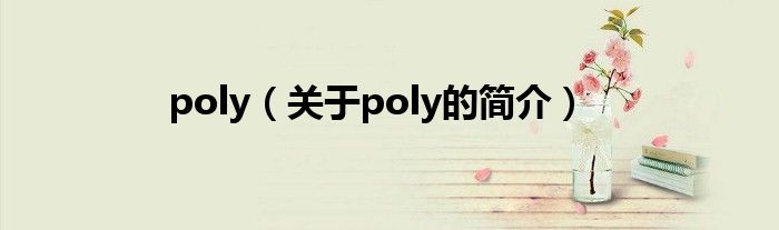 poly（關于poly的簡介）