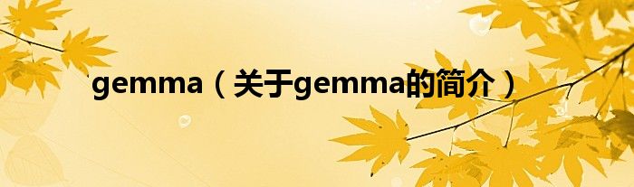 gemma（關于gemma的簡介）