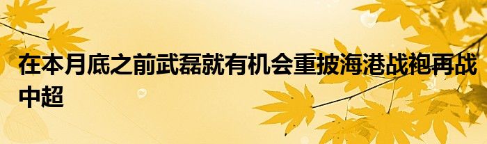 在本月底之前武磊就有機會重披海港戰(zhàn)袍再戰(zhàn)中超