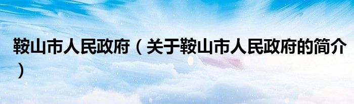 鞍山市人民政府（關于鞍山市人民政府的簡介）