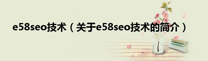 e58seo技術(shù)（關(guān)于e58seo技術(shù)的簡(jiǎn)介）