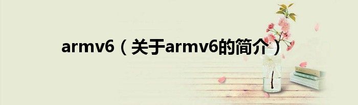 armv6（關(guān)于armv6的簡(jiǎn)介）