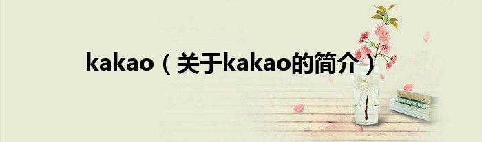 kakao（關(guān)于kakao的簡介）