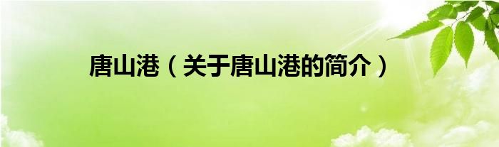 唐山港（關(guān)于唐山港的簡(jiǎn)介）