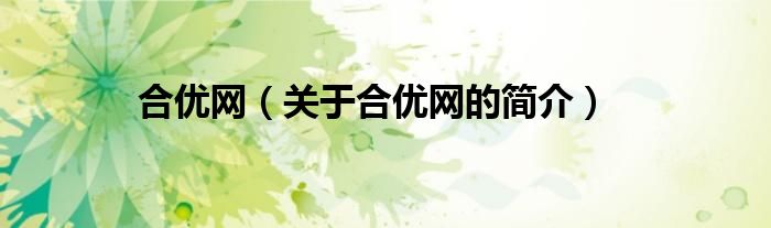 合優(yōu)網(wǎng)（關(guān)于合優(yōu)網(wǎng)的簡介）