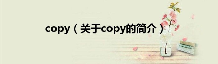 copy（關(guān)于copy的簡(jiǎn)介）