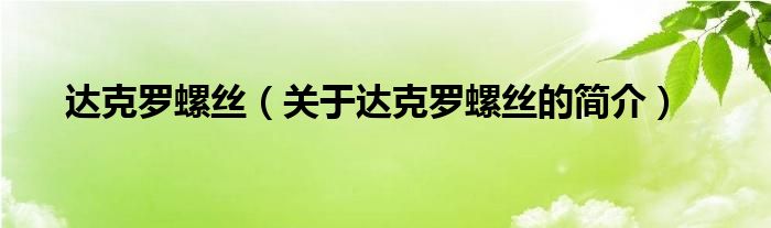 達(dá)克羅螺絲（關(guān)于達(dá)克羅螺絲的簡(jiǎn)介）