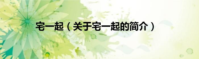 宅一起（關(guān)于宅一起的簡(jiǎn)介）