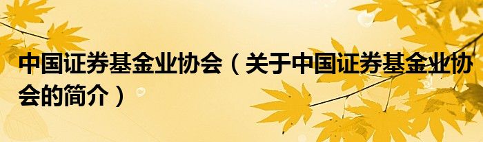 中國證券基金業(yè)協(xié)會（關于中國證券基金業(yè)協(xié)會的簡介）