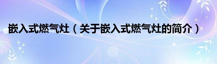 嵌入式燃氣灶（關于嵌入式燃氣灶的簡介）