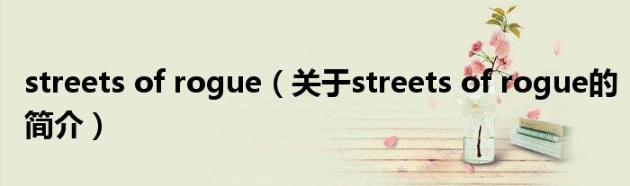 streets of rogue（關(guān)于streets of rogue的簡介）