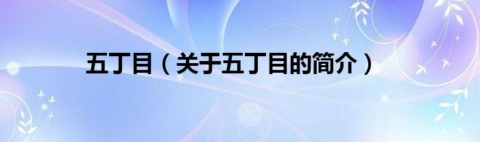 五丁目（關(guān)于五丁目的簡(jiǎn)介）