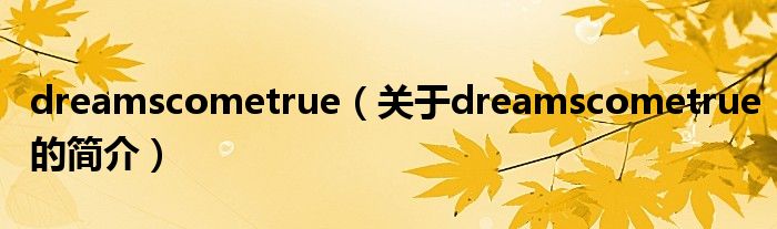 dreamscometrue（關(guān)于dreamscometrue的簡介）