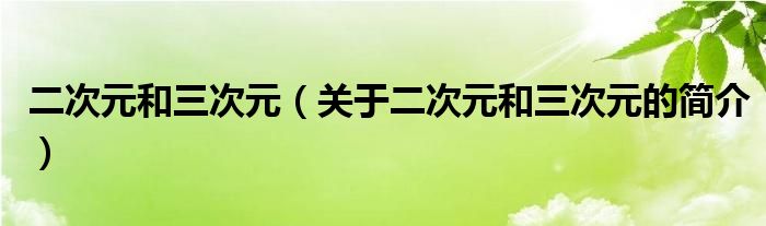 二次元和三次元（關(guān)于二次元和三次元的簡介）