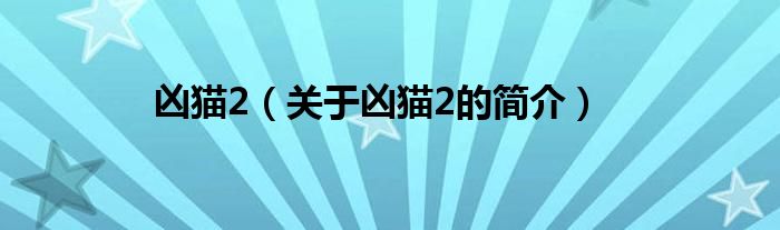 兇貓2（關(guān)于兇貓2的簡(jiǎn)介）