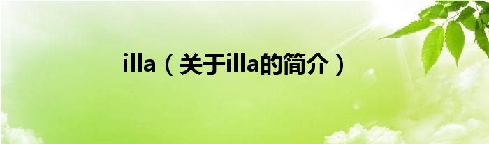 illa（關(guān)于illa的簡介）