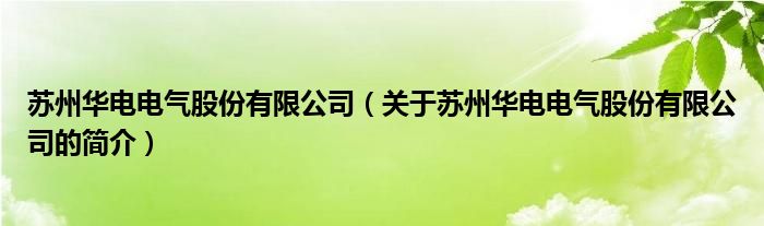 蘇州華電電氣股份有限公司（關(guān)于蘇州華電電氣股份有限公司的簡介）