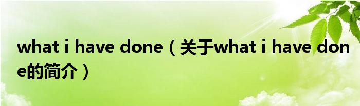 what i have done（關于what i have done的簡介）