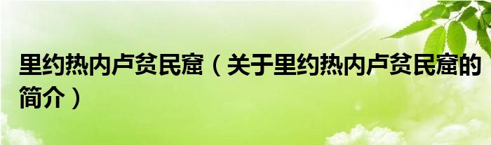 里約熱內(nèi)盧貧民窟（關(guān)于里約熱內(nèi)盧貧民窟的簡(jiǎn)介）