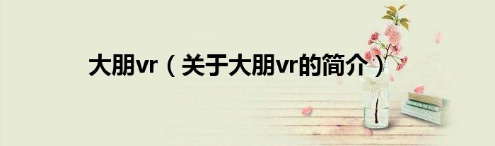 大朋vr（關(guān)于大朋vr的簡(jiǎn)介）