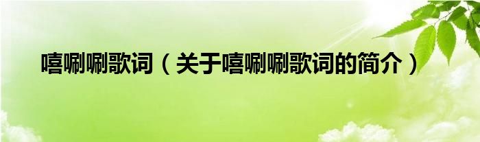 嘻唰唰歌詞（關(guān)于嘻唰唰歌詞的簡介）