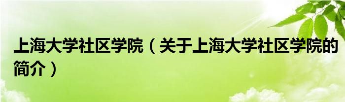 上海大學社區(qū)學院（關于上海大學社區(qū)學院的簡介）