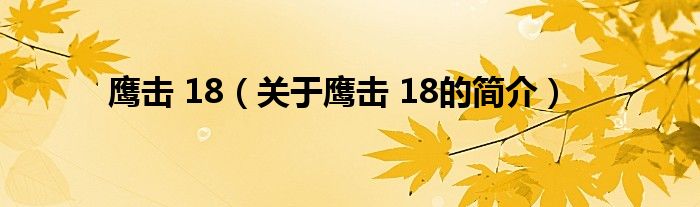 鷹擊 18（關于鷹擊 18的簡介）