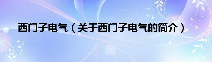 西門(mén)子電氣（關(guān)于西門(mén)子電氣的簡(jiǎn)介）