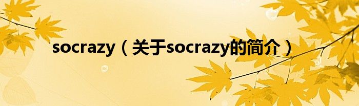 socrazy（關(guān)于socrazy的簡介）