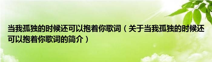 當(dāng)我孤獨(dú)的時候還可以抱著你歌詞（關(guān)于當(dāng)我孤獨(dú)的時候還可以抱著你歌詞的簡介）