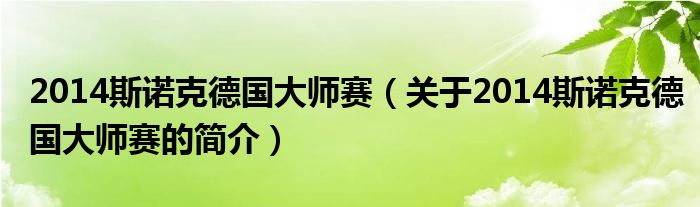 2014斯諾克德國大師賽（關(guān)于2014斯諾克德國大師賽的簡(jiǎn)介）