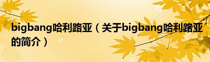 bigbang哈利路亞（關于bigbang哈利路亞的簡介）