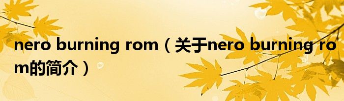 nero burning rom（關(guān)于nero burning rom的簡介）