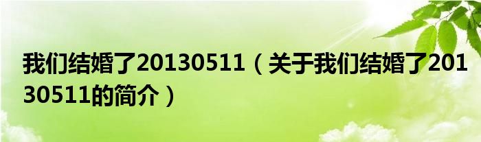 我們結(jié)婚了20130511（關(guān)于我們結(jié)婚了20130511的簡介）