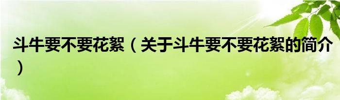 斗牛要不要花絮（關(guān)于斗牛要不要花絮的簡(jiǎn)介）