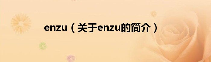 enzu（關于enzu的簡介）