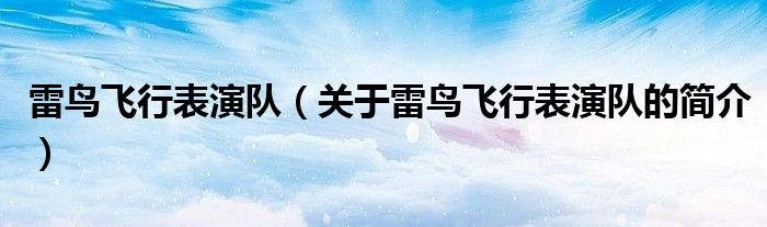 雷鳥飛行表演隊(duì)（關(guān)于雷鳥飛行表演隊(duì)的簡介）