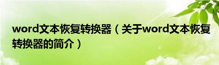 word文本恢復轉(zhuǎn)換器（關(guān)于word文本恢復轉(zhuǎn)換器的簡介）