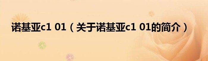 諾基亞c1 01（關于諾基亞c1 01的簡介）