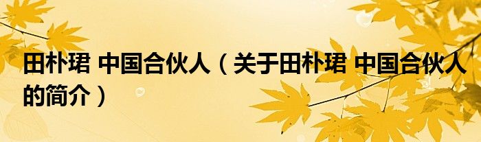 田樸珺 中國(guó)合伙人（關(guān)于田樸珺 中國(guó)合伙人的簡(jiǎn)介）