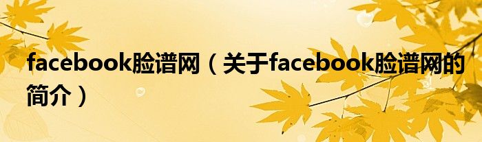 facebook臉譜網(wǎng)（關(guān)于facebook臉譜網(wǎng)的簡(jiǎn)介）