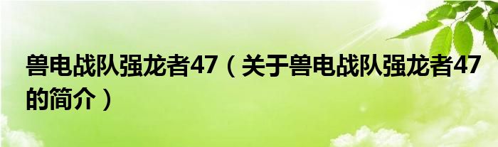 獸電戰(zhàn)隊強龍者47（關(guān)于獸電戰(zhàn)隊強龍者47的簡介）