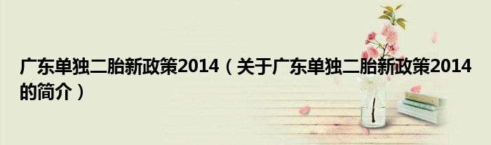 廣東單獨二胎新政策2014（關于廣東單獨二胎新政策2014的簡介）