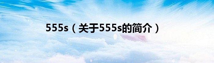 555s（關(guān)于555s的簡介）