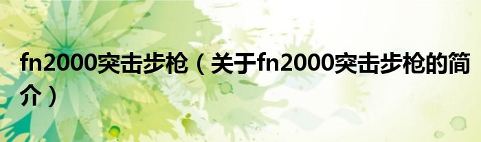 fn2000突擊步槍（關于fn2000突擊步槍的簡介）