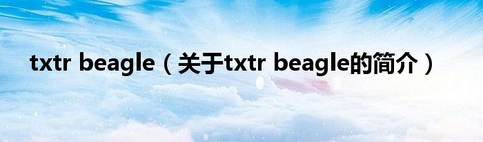 txtr beagle（關于txtr beagle的簡介）