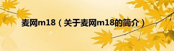 麥網(wǎng)m18（關(guān)于麥網(wǎng)m18的簡介）