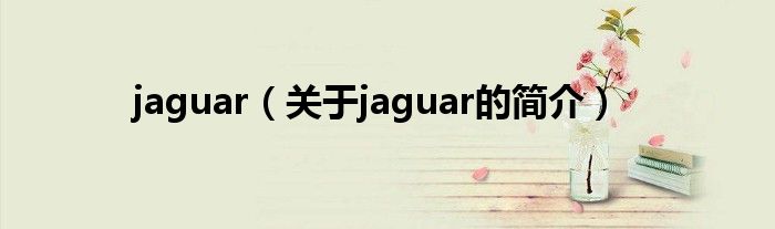 jaguar（關(guān)于jaguar的簡介）