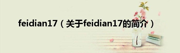 feidian17（關(guān)于feidian17的簡(jiǎn)介）